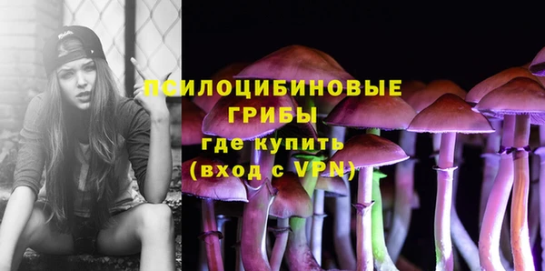 марки lsd Каменногорск