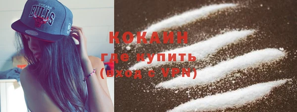сатива Касимов