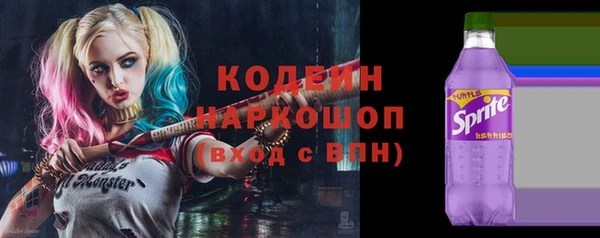 твердый Инта
