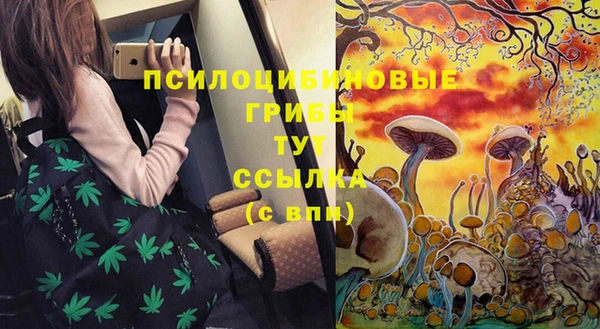 каннабис Нестеровская